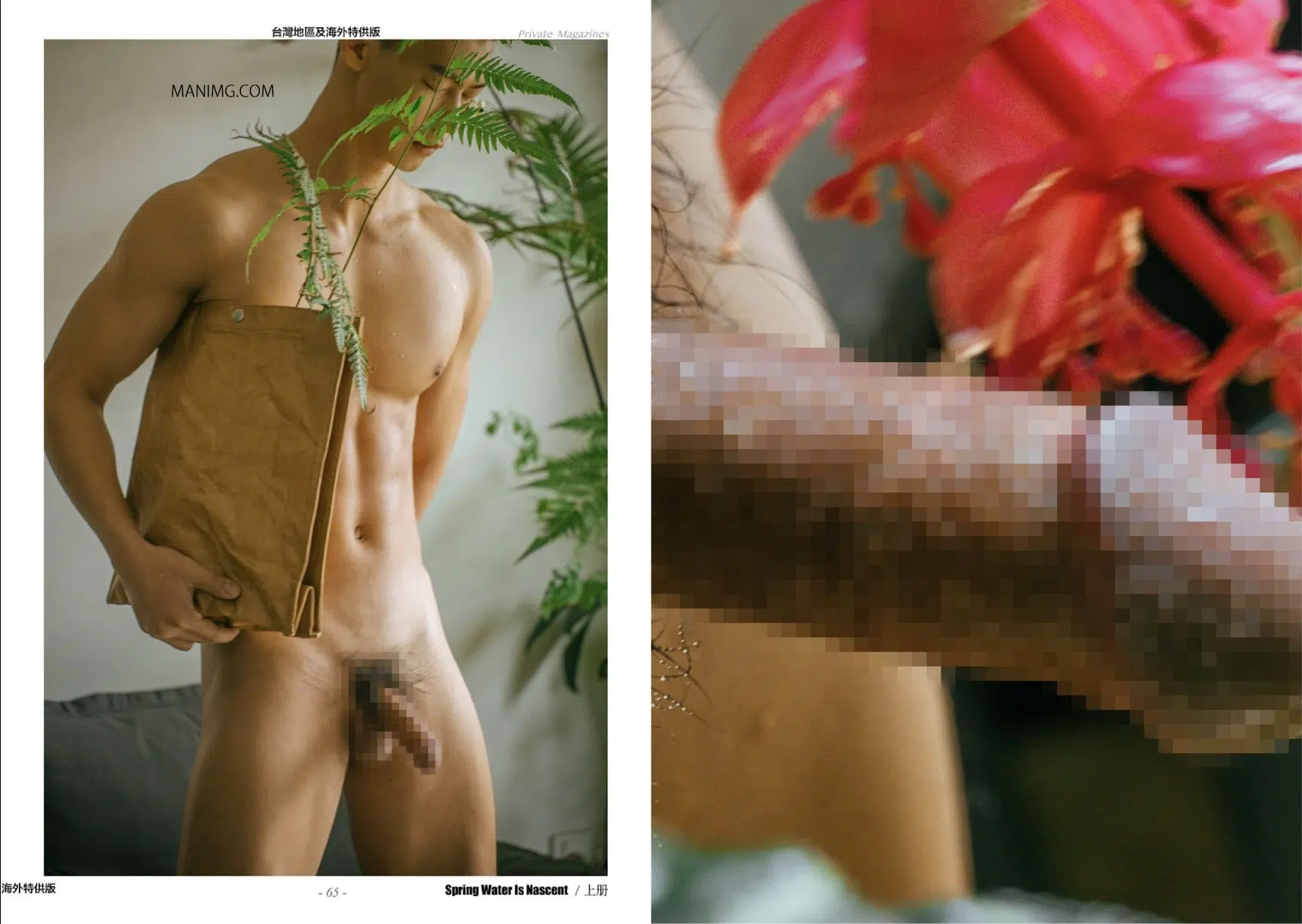 HORMONE #17A 春水初生 ‖ R+【PHOTO+VIDEO】