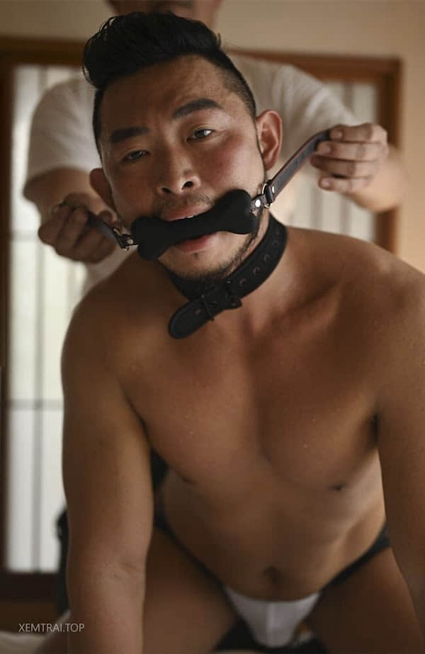 Mrbody 2024.NO.11 Benson