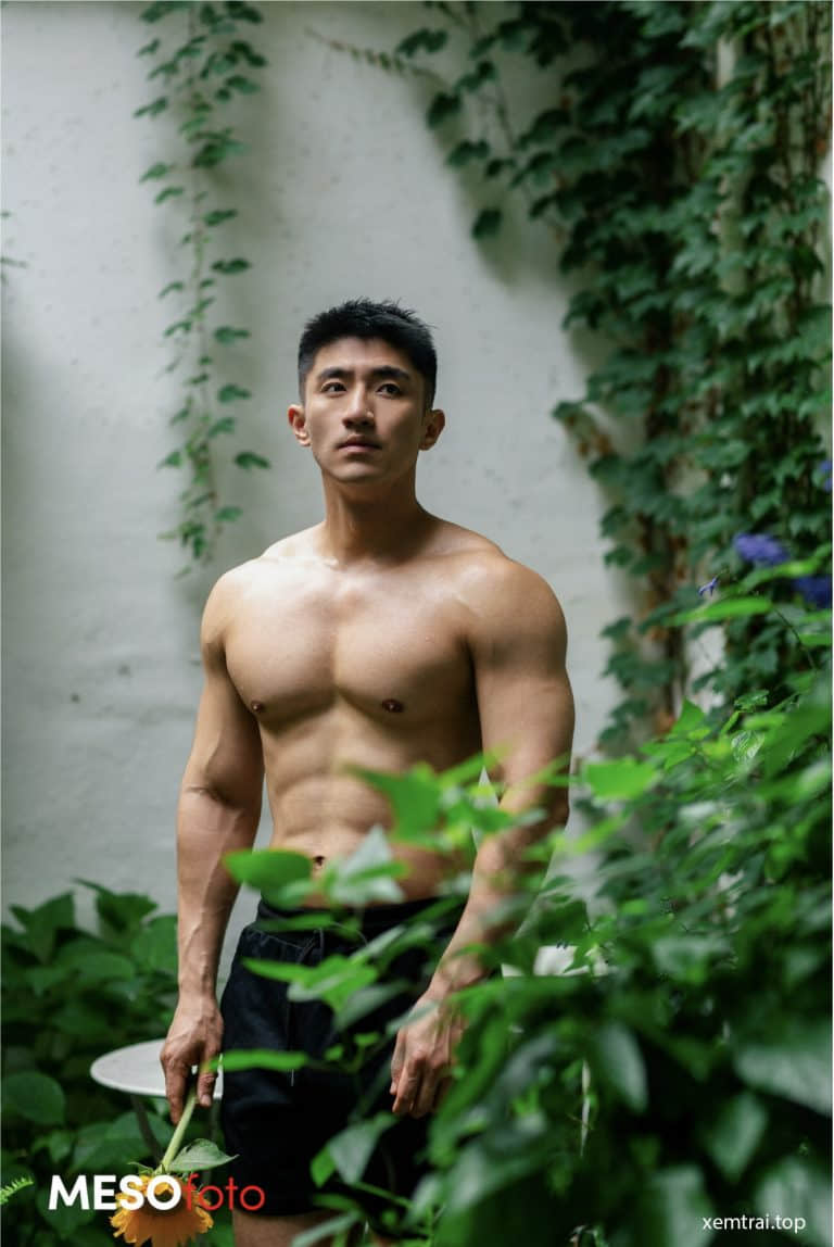 MESOfotoBOOK 07 (photo+video)